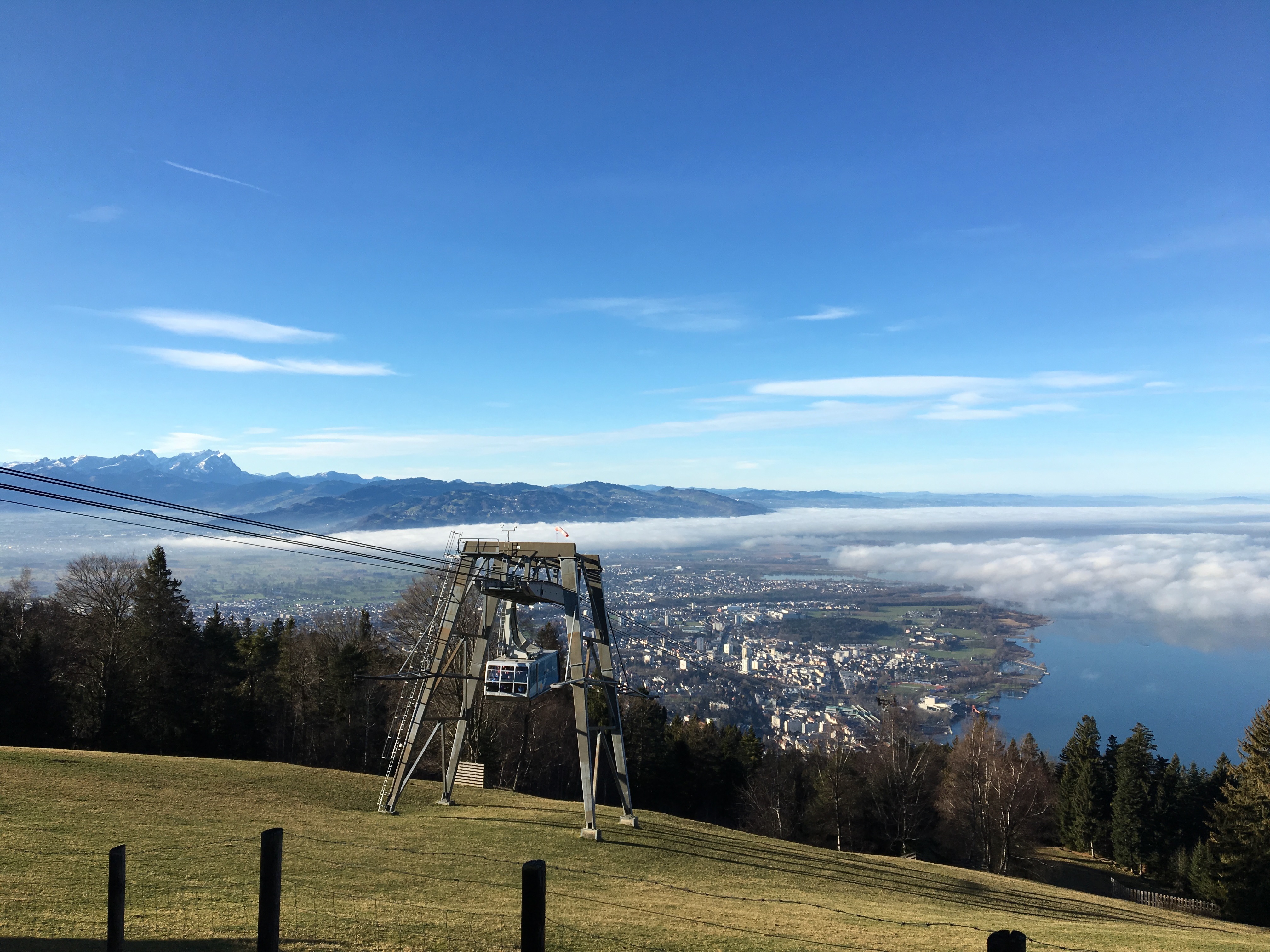 Panoramablick vom Pfänder über den Bodensee